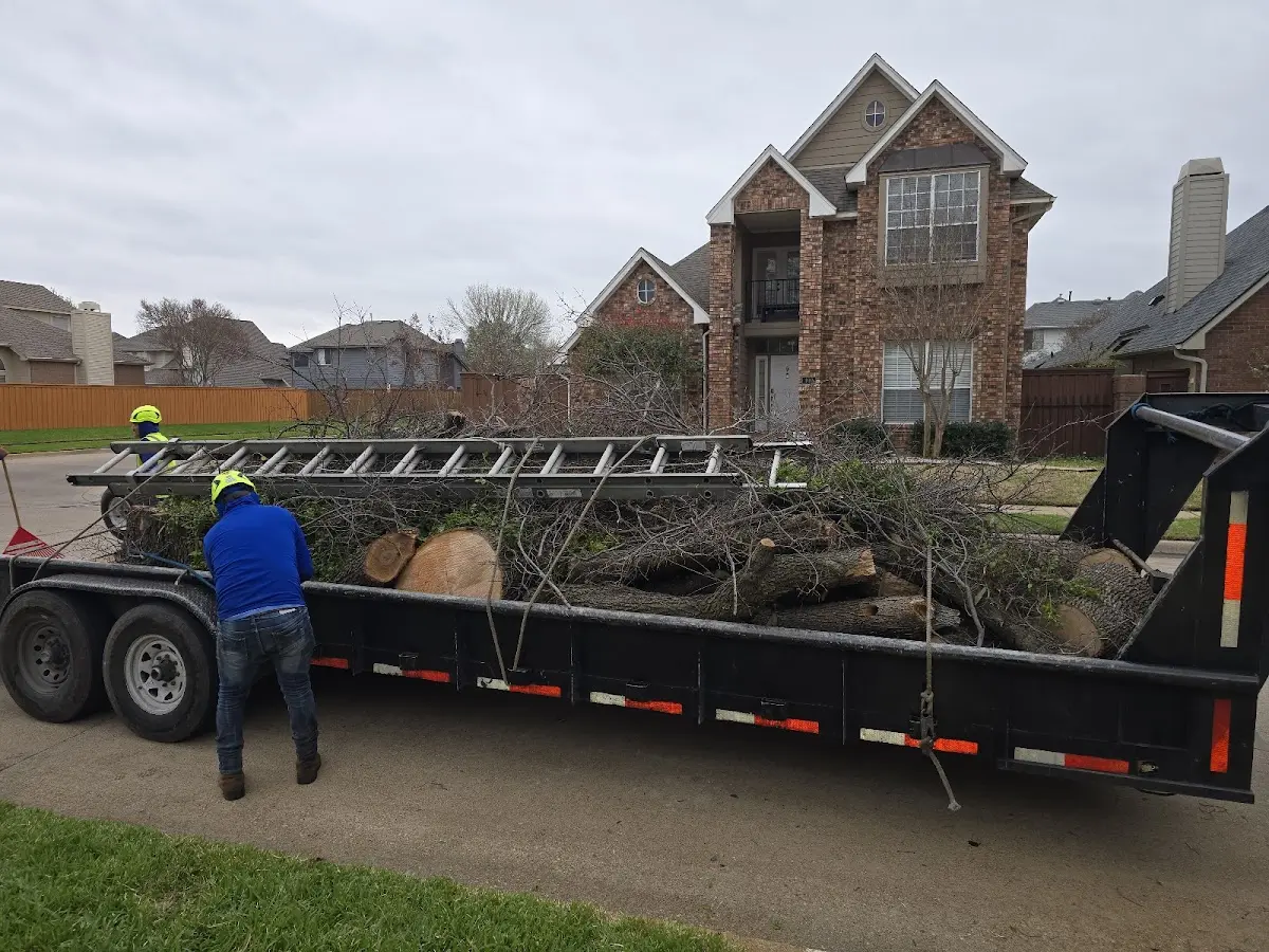 Expert Crown Reduction with proper safety equipment in Gautier